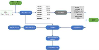 An audio-semantic multimodal model for automatic obstructive sleep Apnea-Hypopnea Syndrome classification via multi-feature analysis of snoring sounds